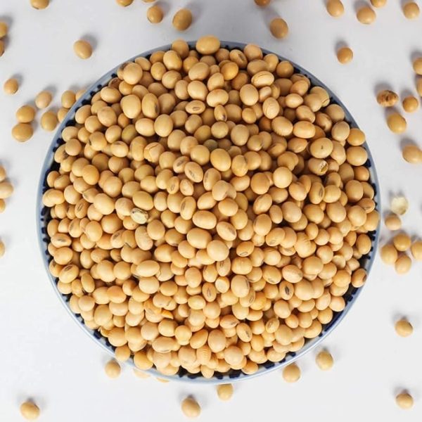 Organic Soyabean whole organic soyabean wholesalers